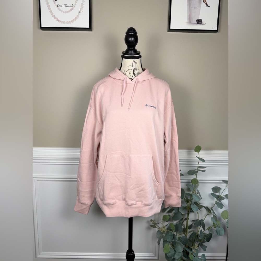 Columbia Mens Outdoor Vibes Graphic Pullover Hoodie Pink Small